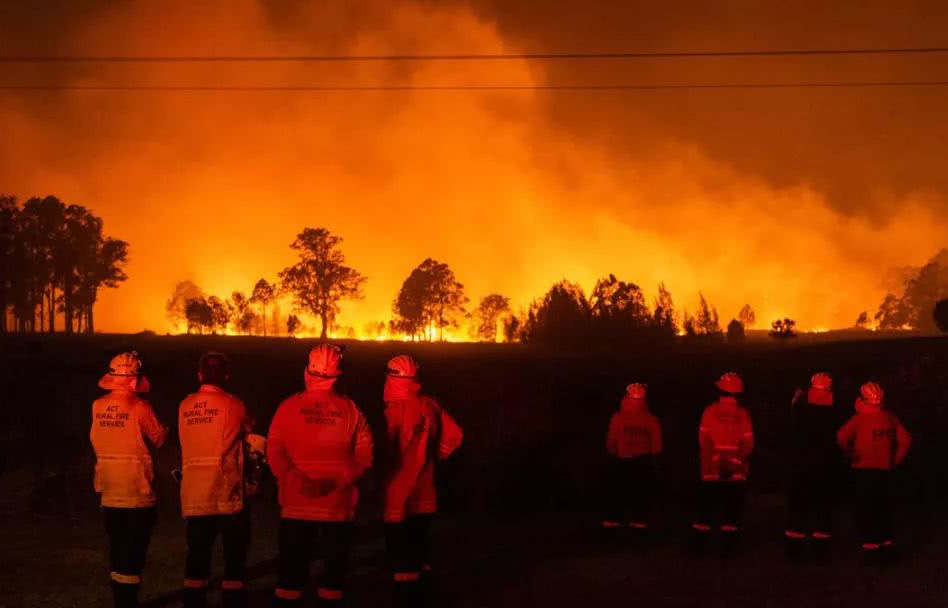 蘋果捐款支援澳洲森林大火救援工作：良心企業 | Apple News, Port Macquarie, Tim Cook, 澳大利亞 | iPhone News 愛瘋了