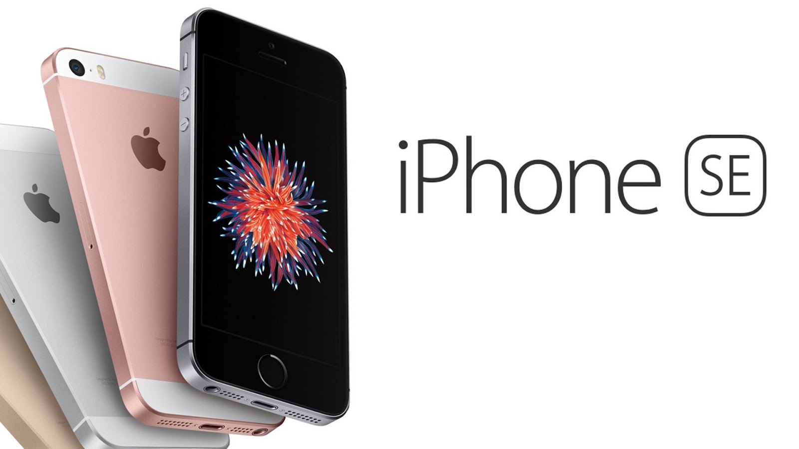 iPhone 6s 和 SE 有望支援 iOS 14：再戰第六年