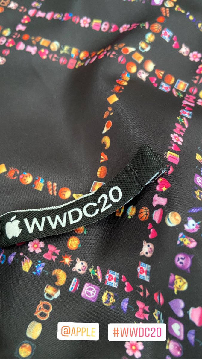 Swift Challenge winners show WWDC jacket, pin set