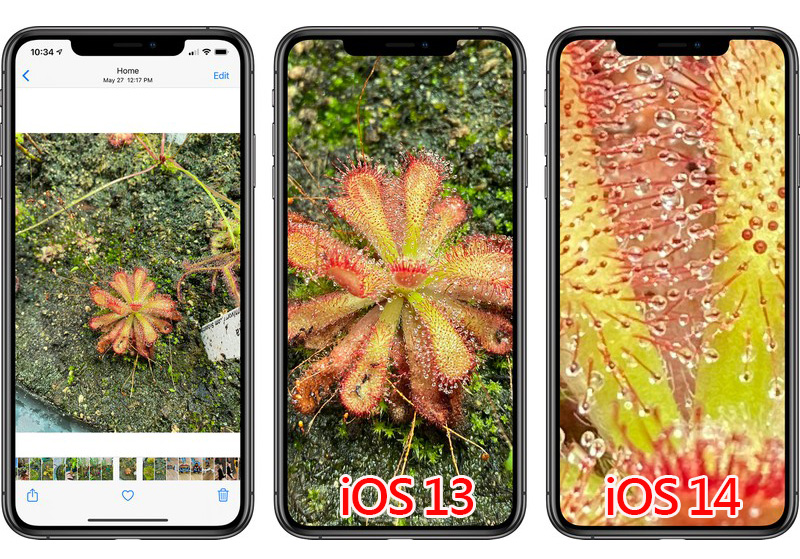 iOS 14 Lets You Zoom Further Into Photos