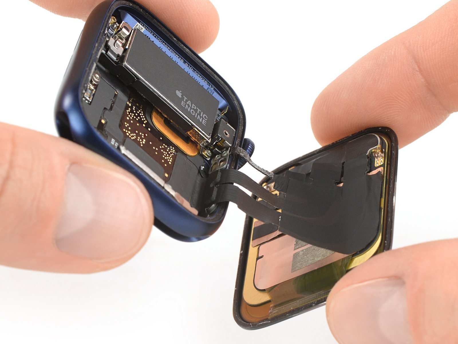 Apple Watch S6 拆解報告：更大的電池和 Taptic Engine | A2376, Apple Watch Series 6, iFixit, Taptic Engine, 震動模組 | iPhone News 愛瘋了
