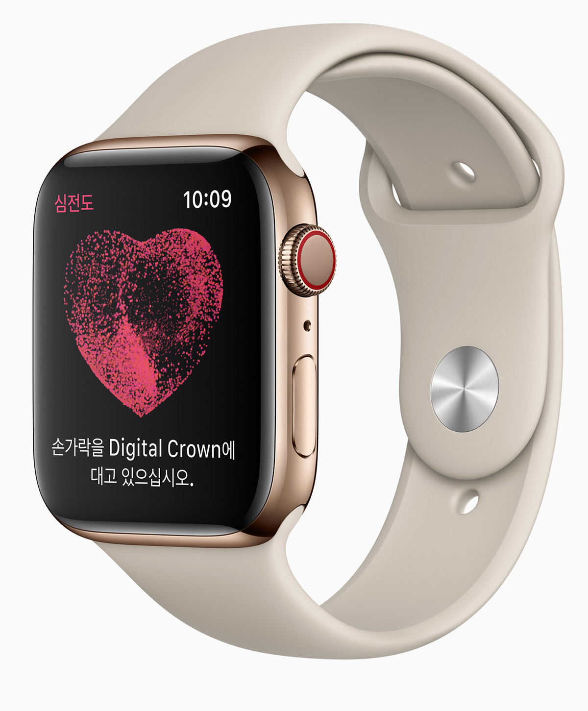 韓國 Apple Watch 將開放心電圖和心律不整通知功能
