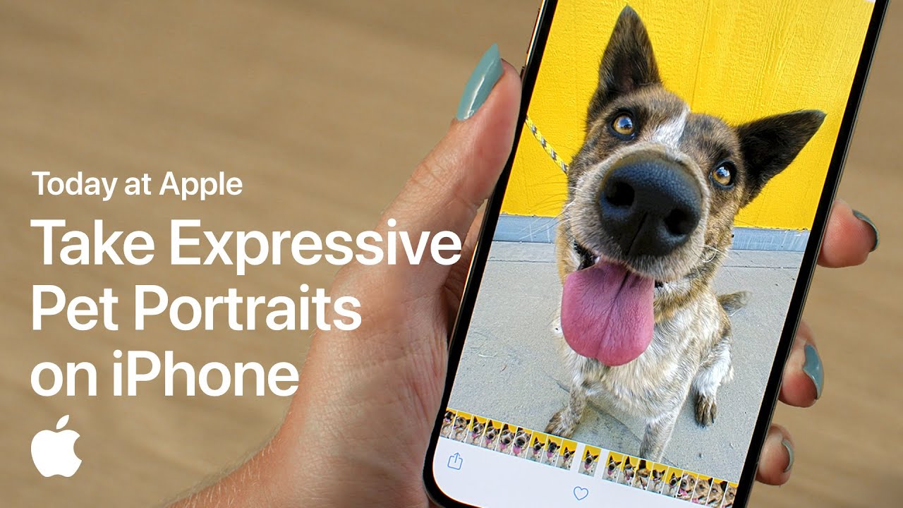 【教學影片】如何用 iPhone 拍攝富有表現力的寵物肖像照片
