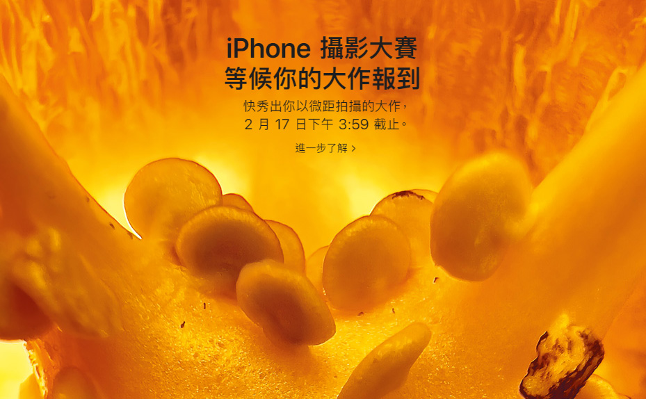 蘋果發起 iPhone 微距攝影大賽！向全球展示還有授權費