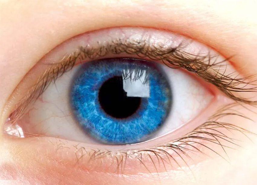 蘋果XR頭顯專利：透過眼睛注視確認佩戴者注意力情況