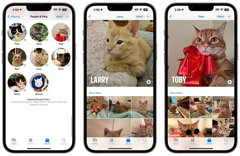 iOS 17強化照片應用程式：辨識您的寵物，讓相簿更生動