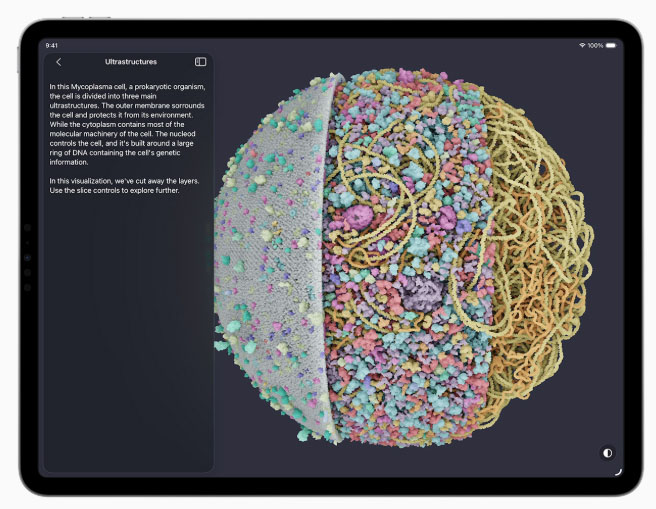 apple foundation models ai app 3