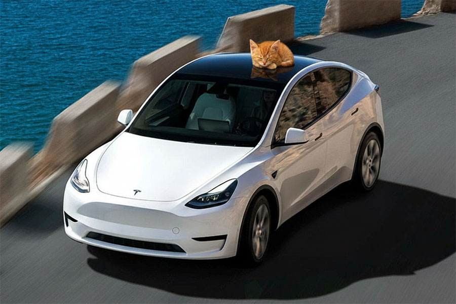 tesla carplay support