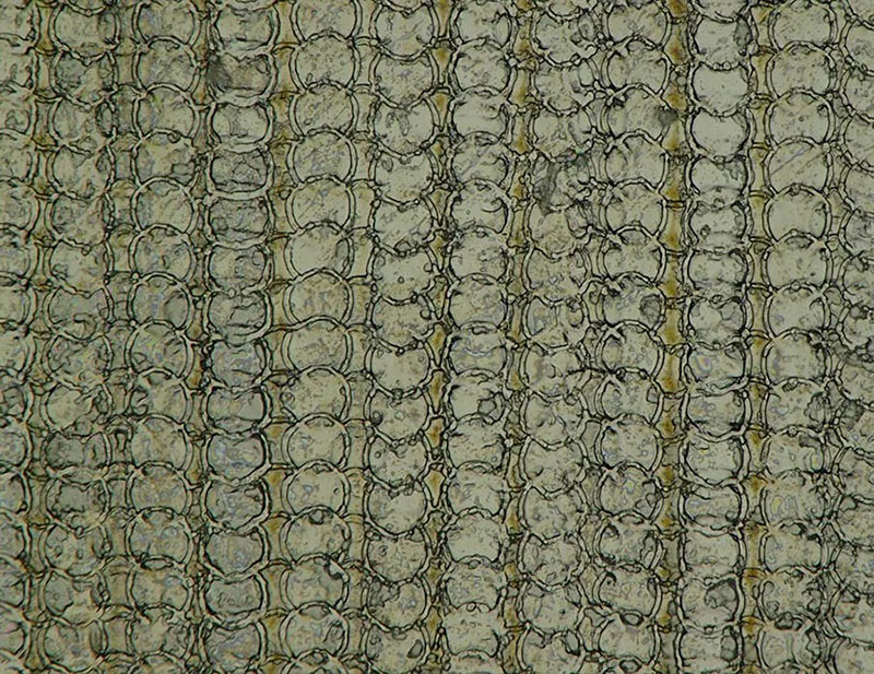 iphone air usbc 3d printing technology environment 2 iphone air usbc 3d printing technology environment 2