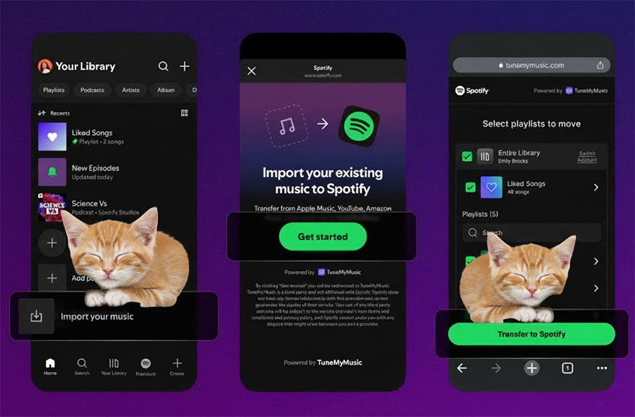 spotify launches playlist import feature tunemymusic
