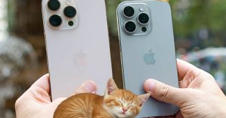 iphone 16 vs iphone 17 global sales ranking