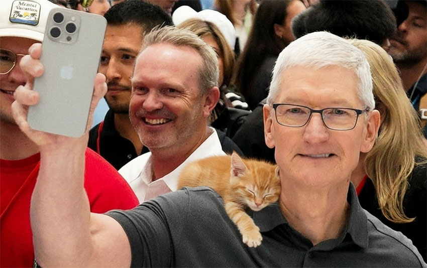 tim cook salary ranking apple market cap 4 trillion tim cook salary ranking apple market cap 4 trillion